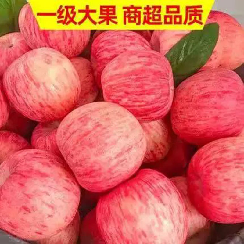 山东红富士苹果脆甜水果十斤装整箱包邮