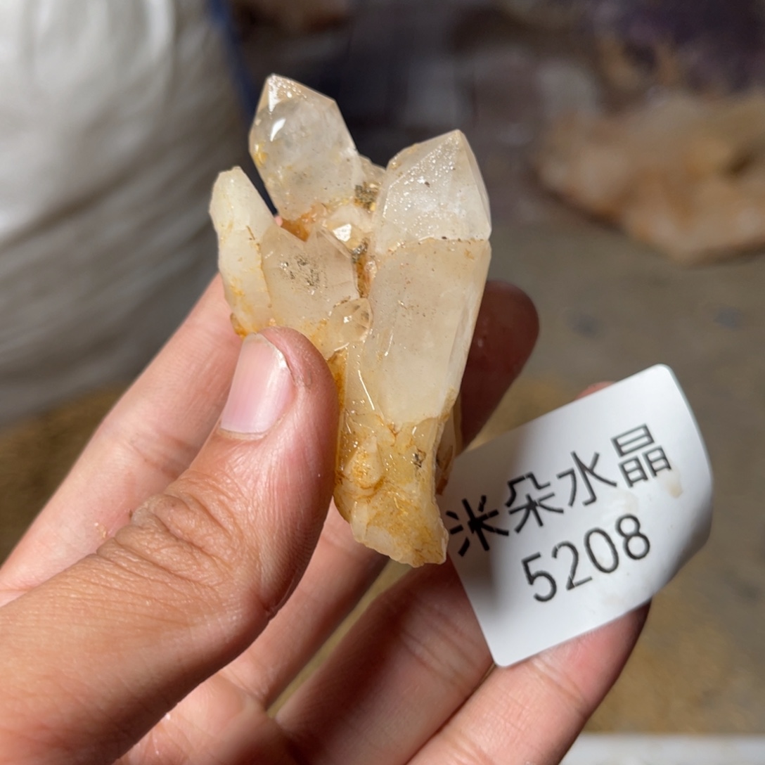 ****灯珠宝半成品未镶嵌水晶