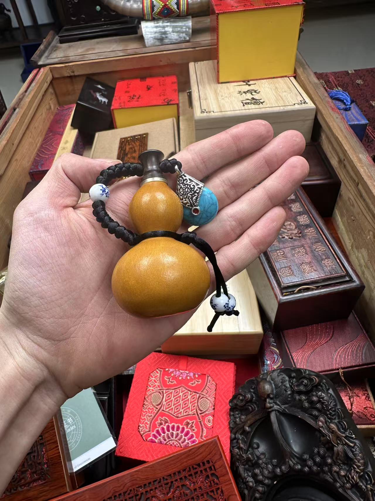 【闪购商品】黄葫芦(多样性发其一)