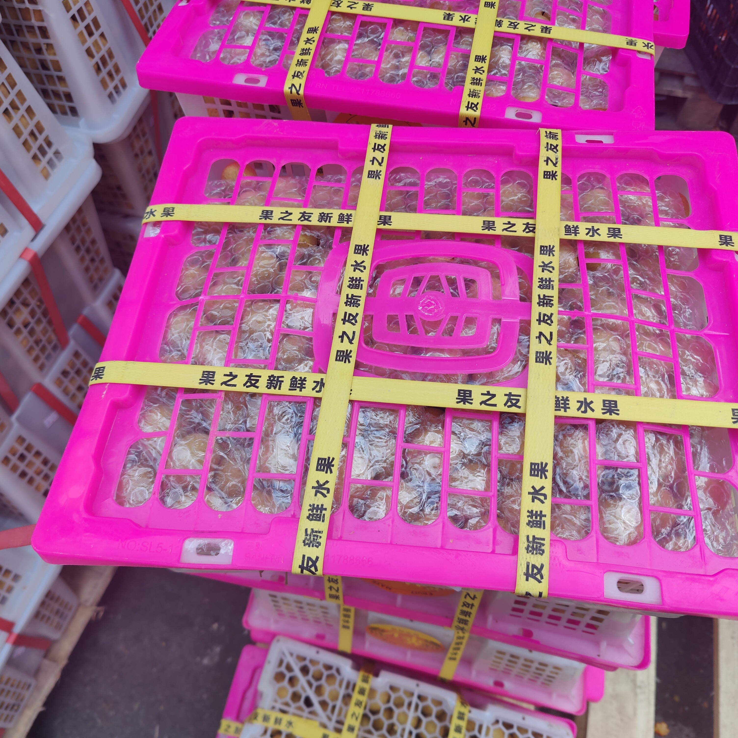 金标龙眼 9 斤装