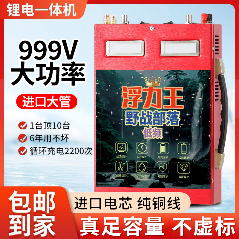 2025款24V锂电池一体户外大功率逆变多功能220V低频全套