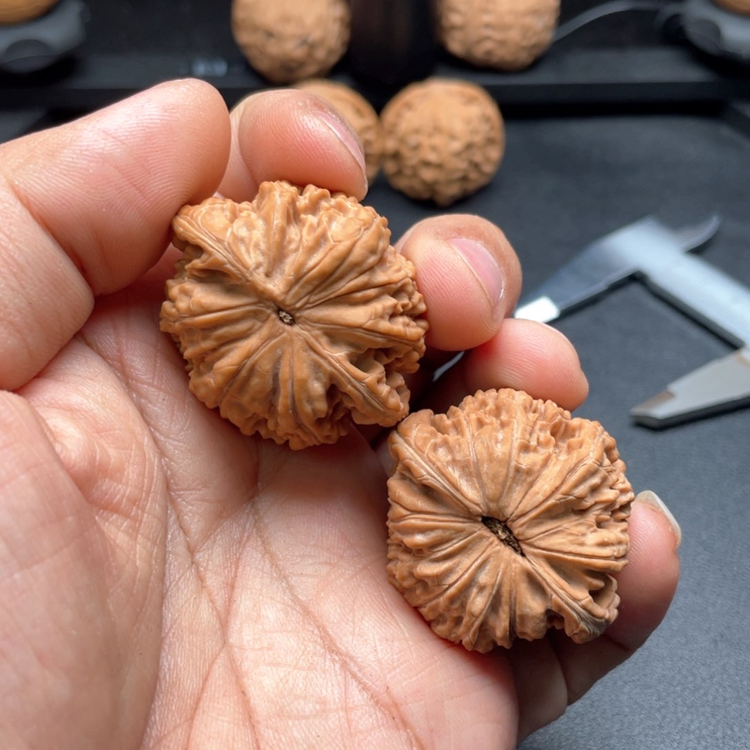 文玩核桃把件磨盘（缺肉）