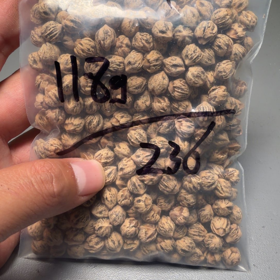 吊坠柏香籽/百香籽J****D