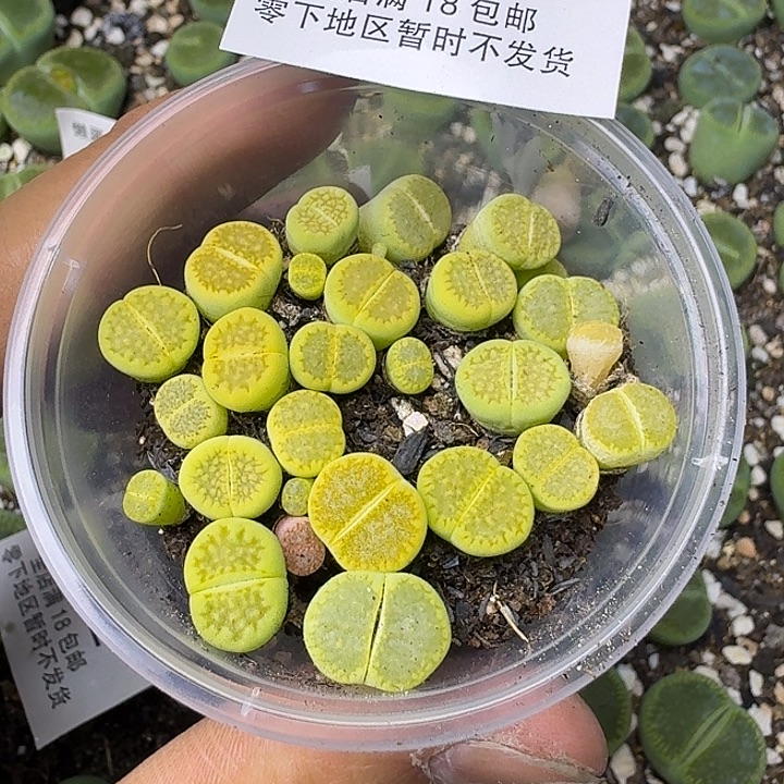 1617 哈哈哈哈哈哈哈哈哈