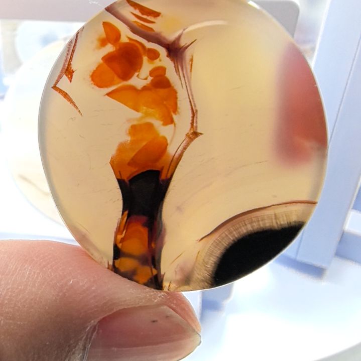 非金属时尚饰品09