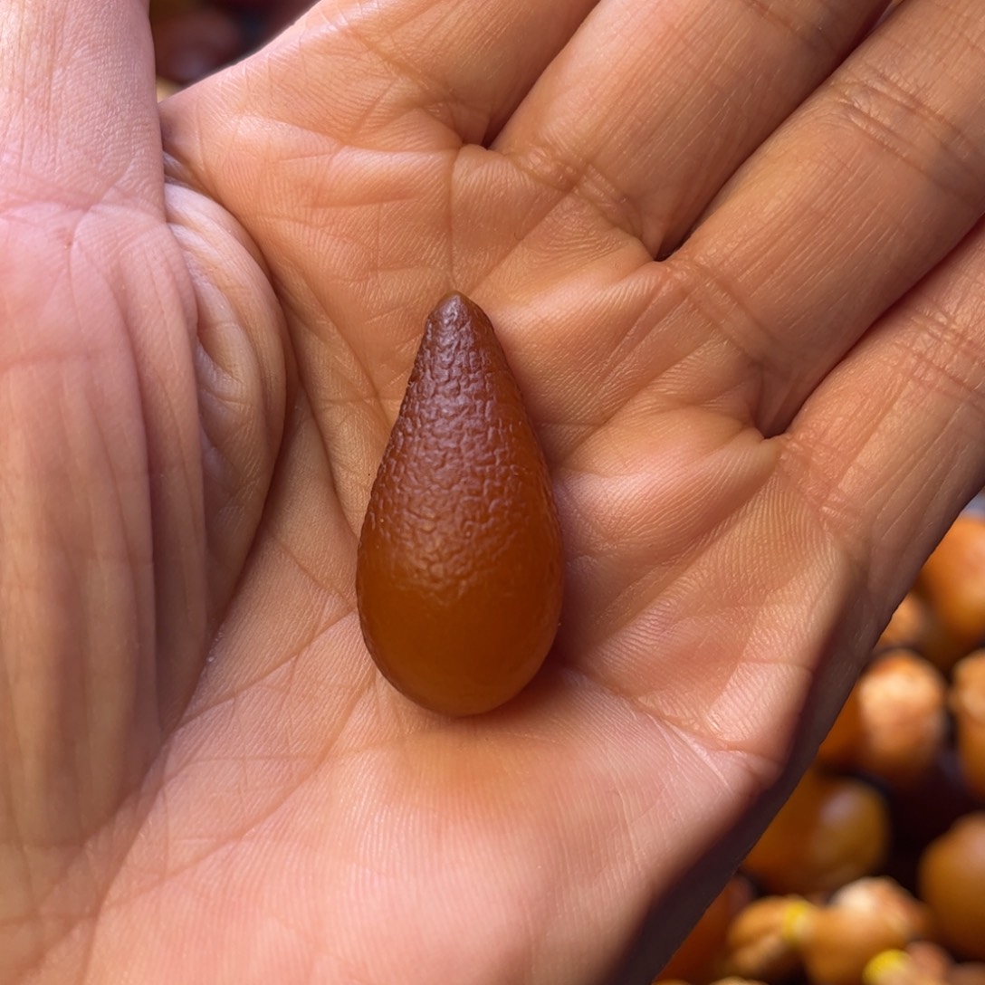 琥珀裸石未镶嵌天然蜜蜡吊坠