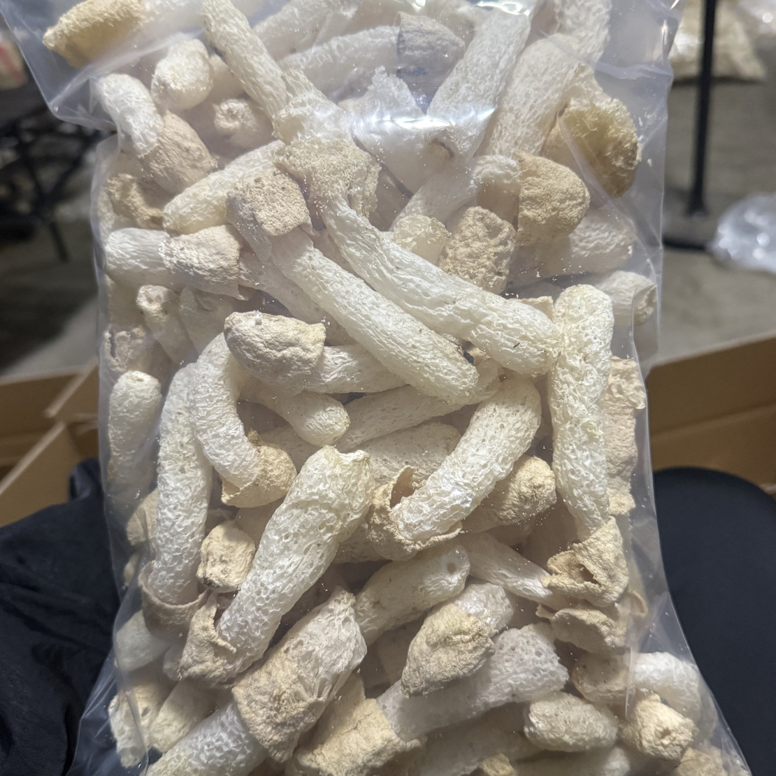 【露思同款】竹荪 小个头100g福利款