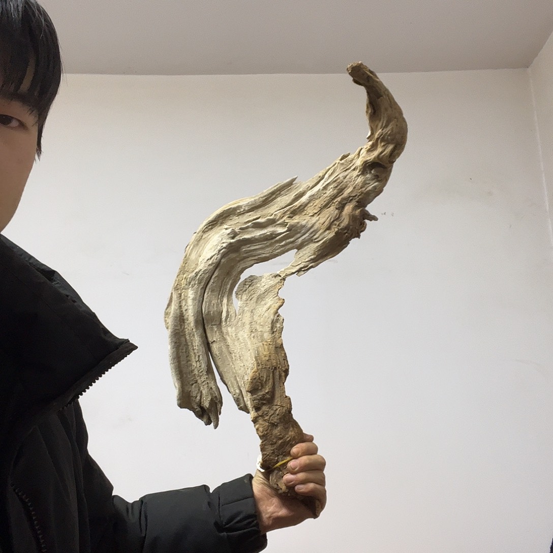 @***同柏木（崖柏）这个世界上最大限度地减少