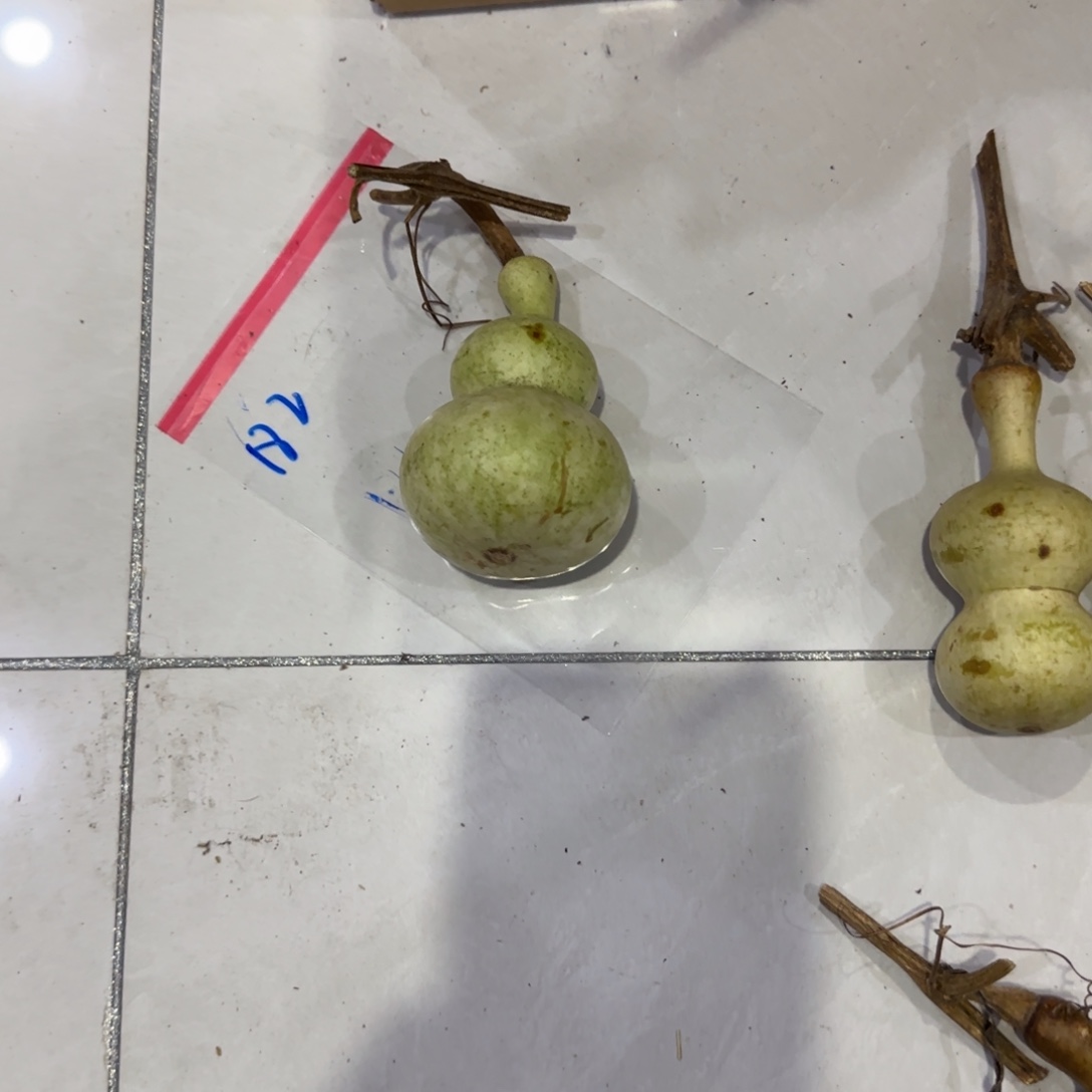 月***山青皮不包成青皮不包成