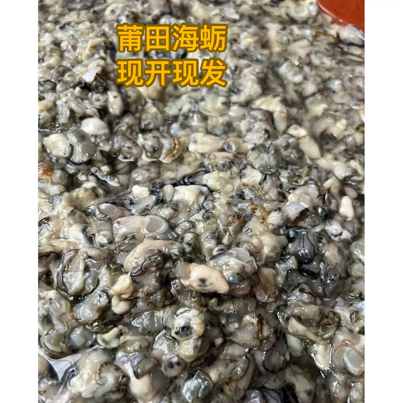 福建新鲜海蛎肉现开现发无泡水味道鲜美产地直发