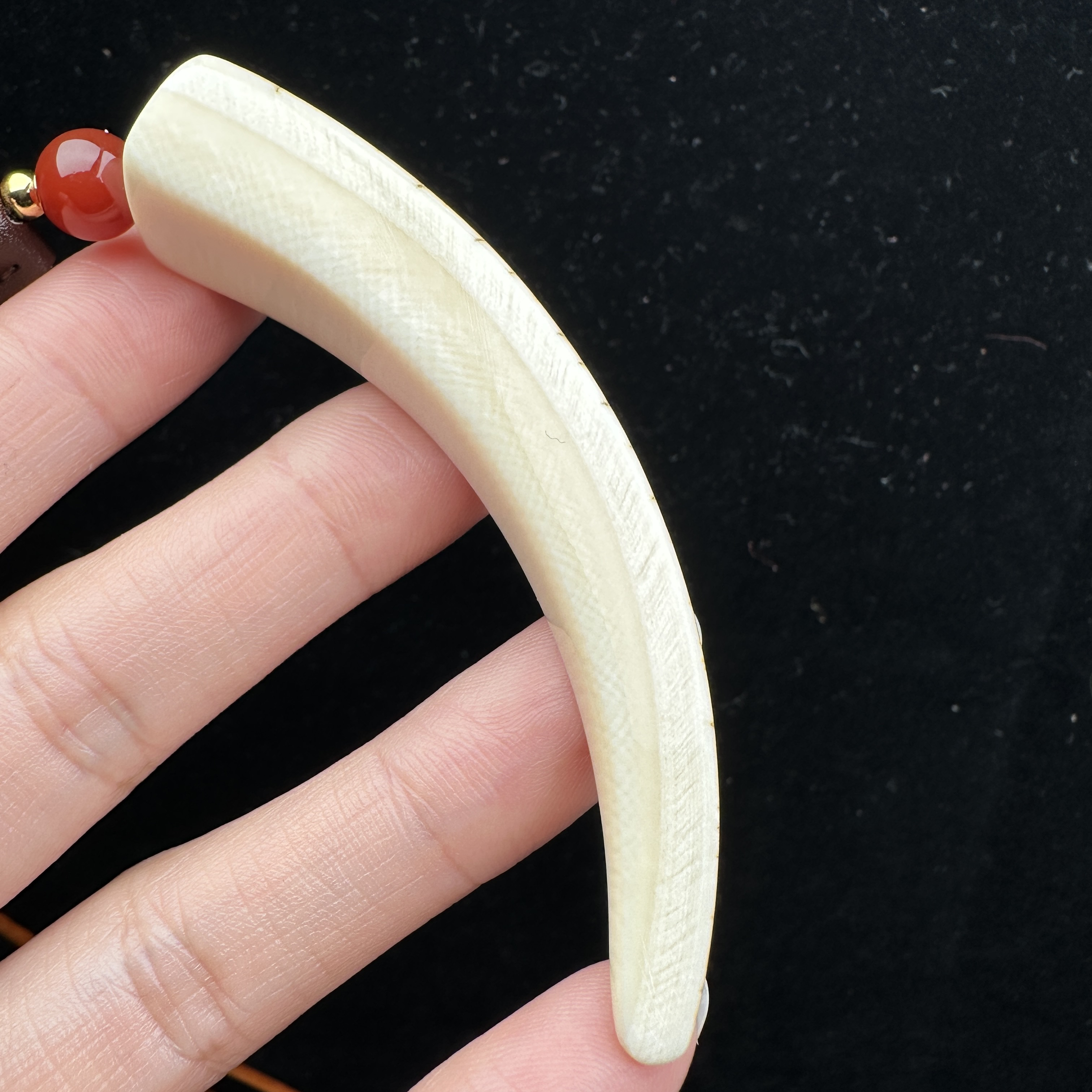 D3720天然猛犸牙 牙尖 73mm支持鉴定 假一罚四