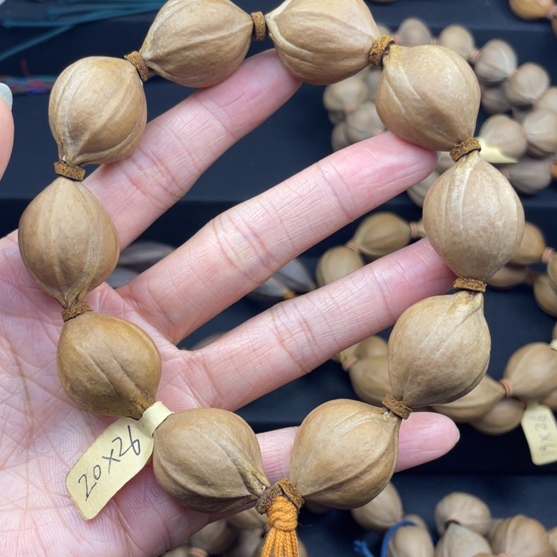 用***6002橄榄核三花20*26