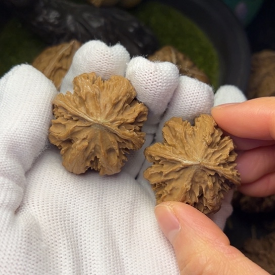 天***子把件文玩核桃秦岭核桃8