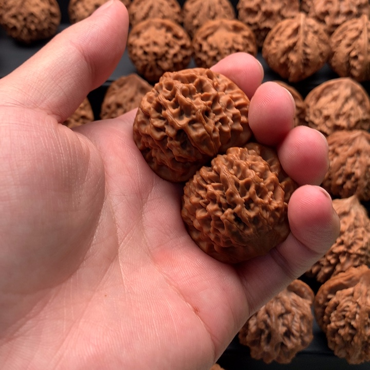 其他核桃x*p秦岭的森林中也