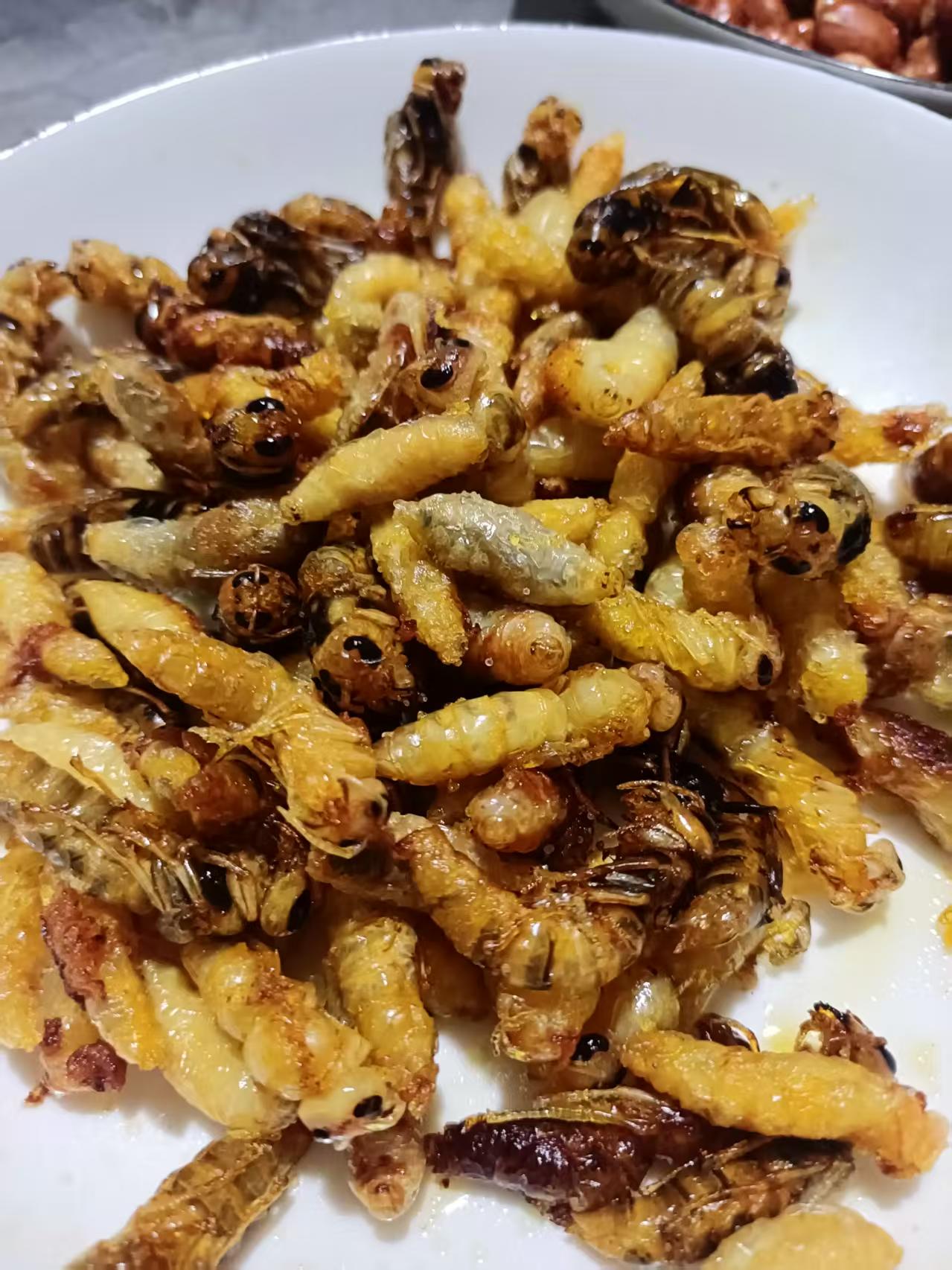 油炸金环虎头蜂蛹                          黑豆零食
