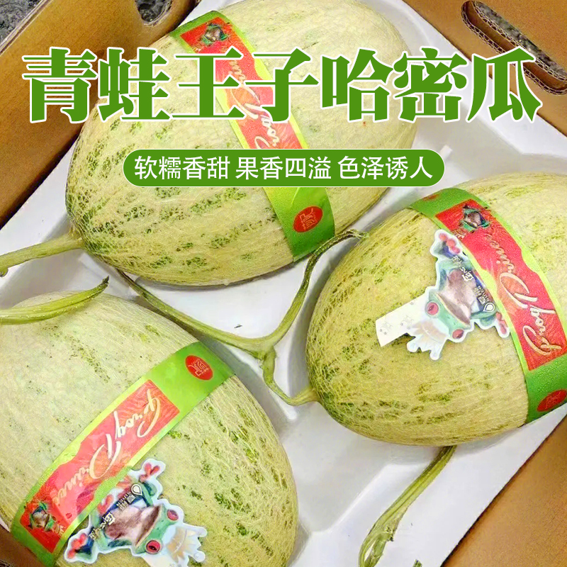 【坏果包赔】甘肃青蛙王子瓜 单颗4-5斤1颗/2颗装
