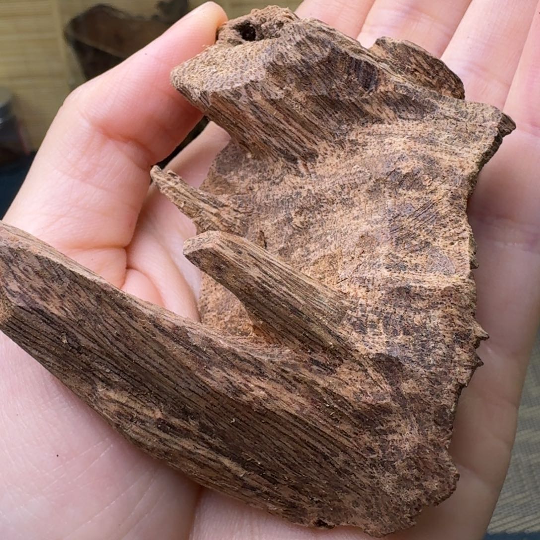 香榧木越南壳子9.3克福利