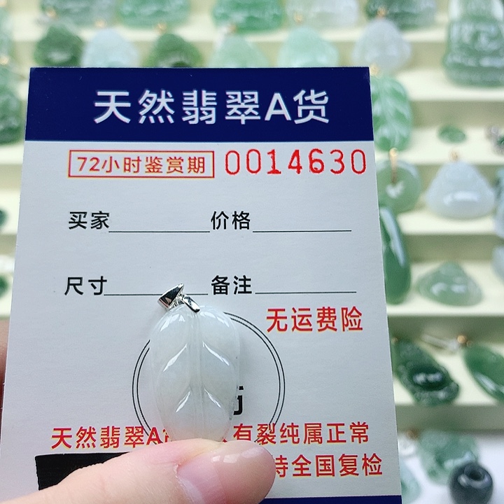 颈饰未镶嵌翡翠吊