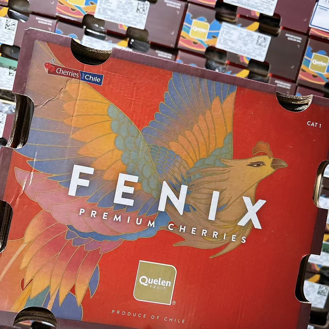 海运！ 2JDD ，智利车厘子 ，2025.11.24【原箱5斤】【内附果径卡】