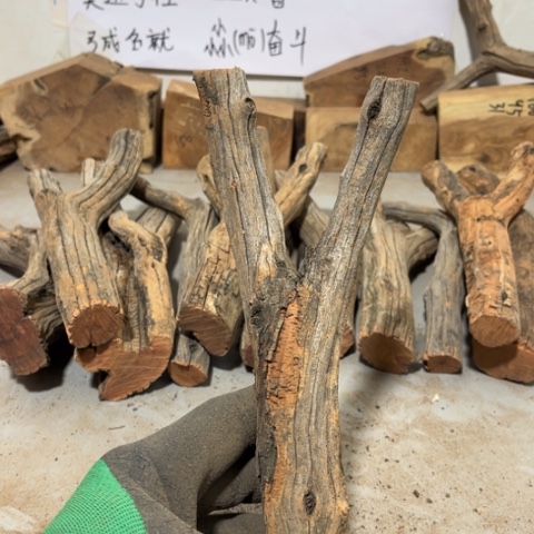 大果紫檀（缅甸花梨）明**风