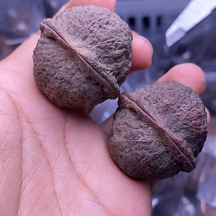 文玩核桃把件  91