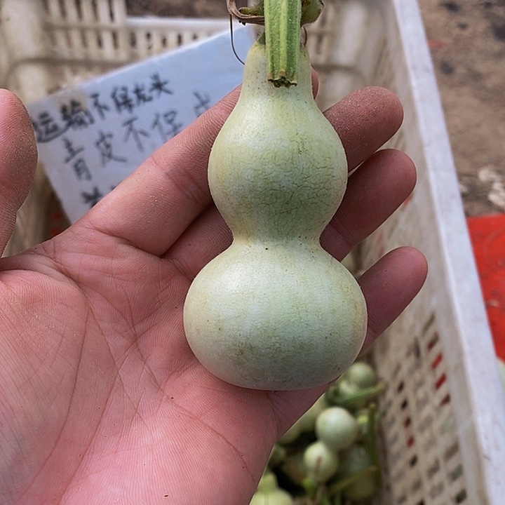 A****k哈哈哈哈哈哈哈哈哈哈
