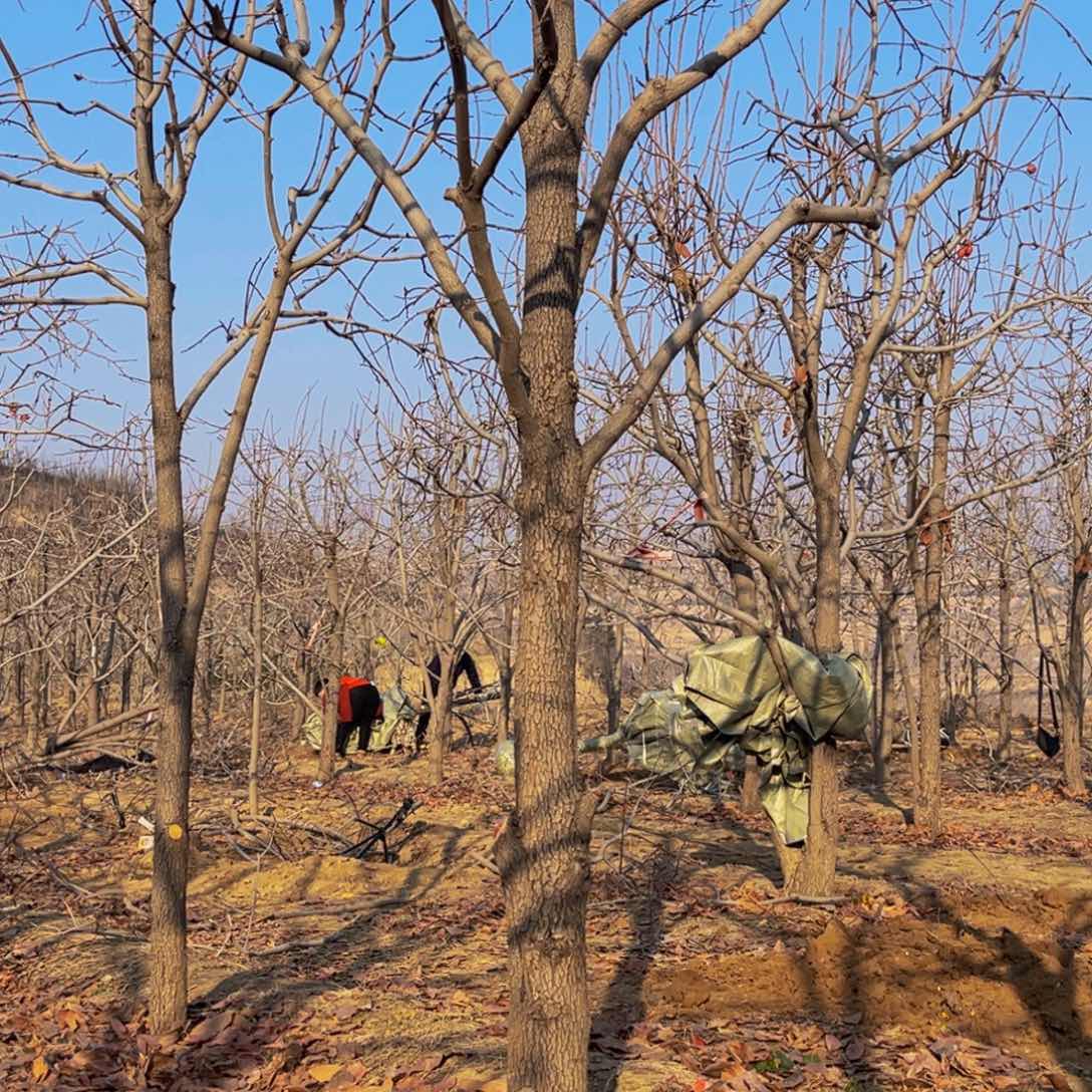 完全开放一物一拍