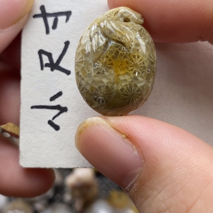 颈饰未镶嵌硅化珊瑚（珊瑚玉）