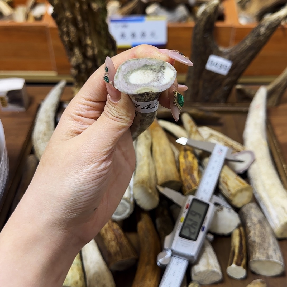 手串/手链鹿骨1426角尖