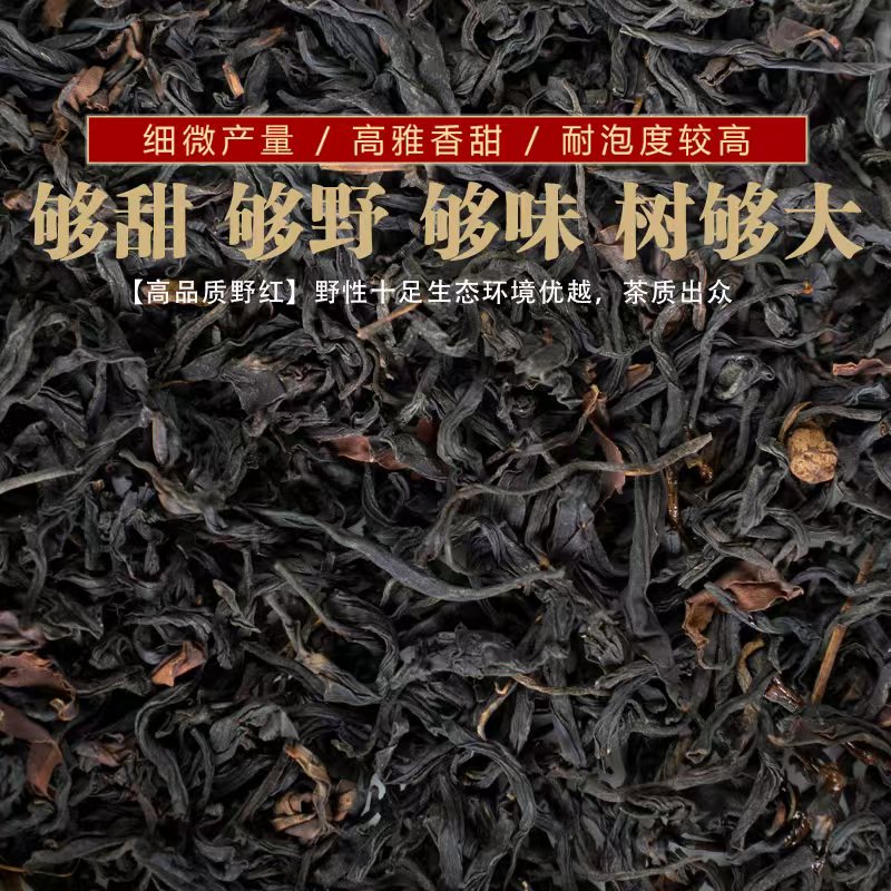 云南森林古树滇红茶古树晒红 越陈越甜 似花似蜜似果香 收藏级别