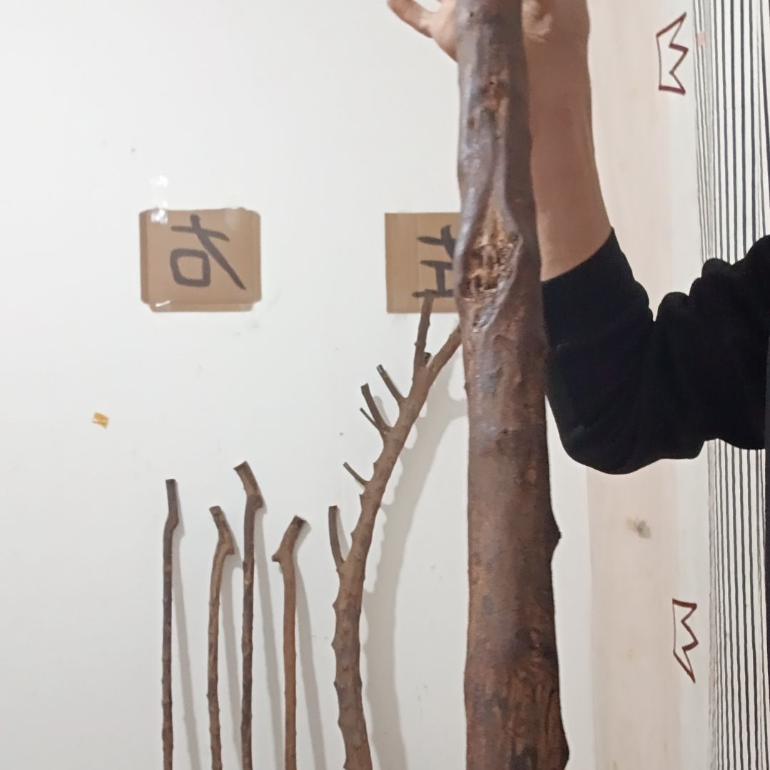 原木直播精品原木