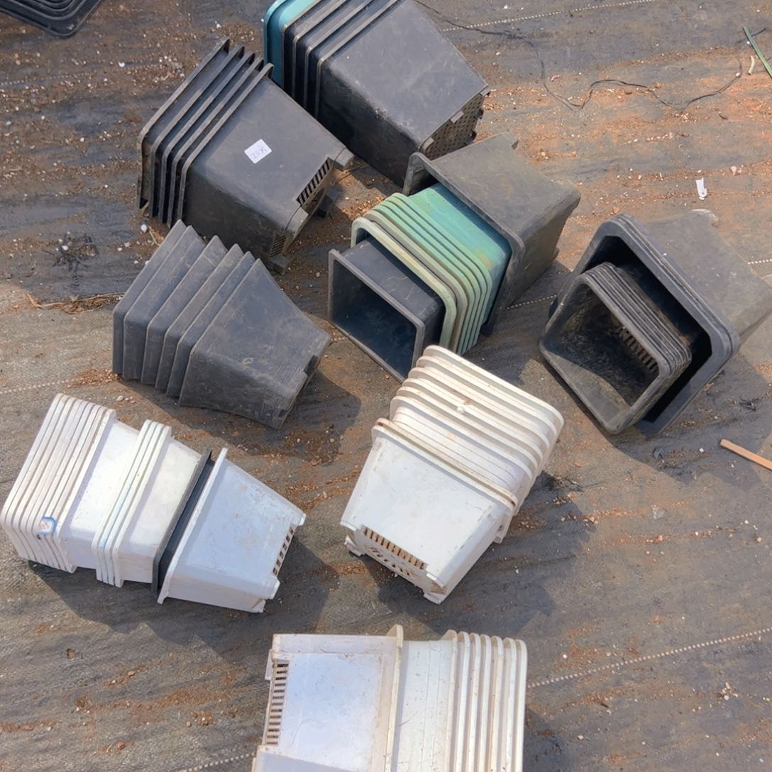 红陶图片中的数量方盆随机发货 