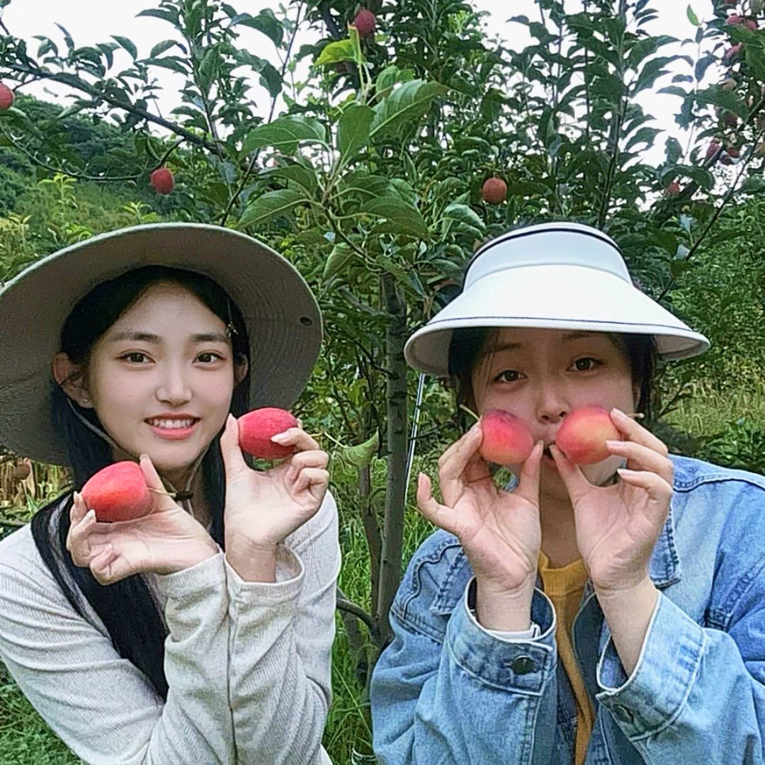 （福利款）中果三斤先到先得