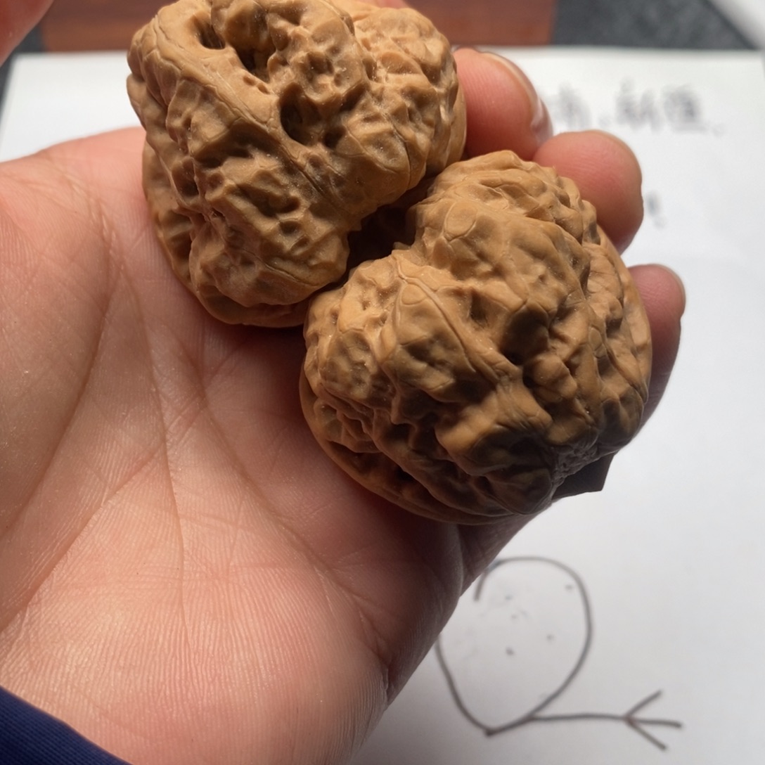 ✎***诗好的我真的好喜欢这个节目