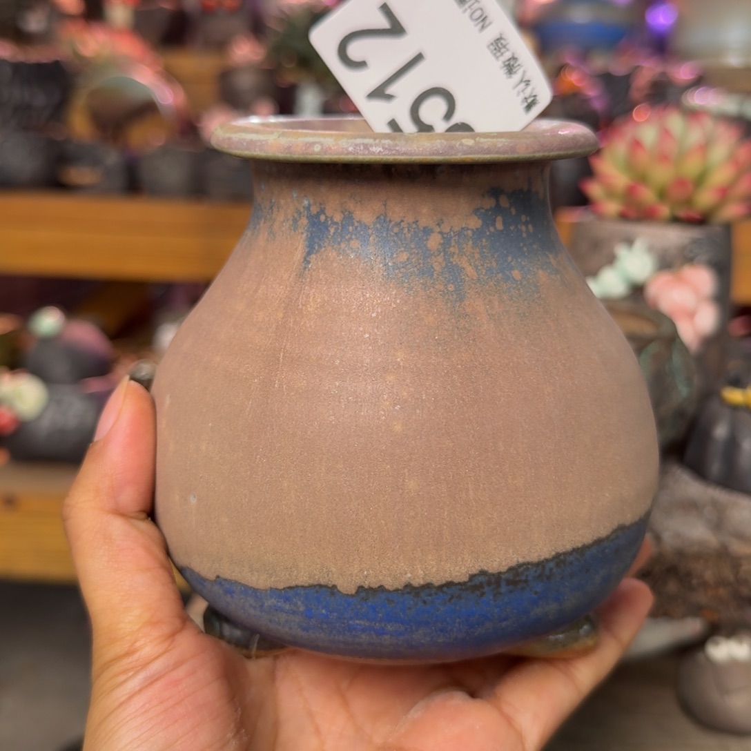 重庆小燕子欢迎大家512