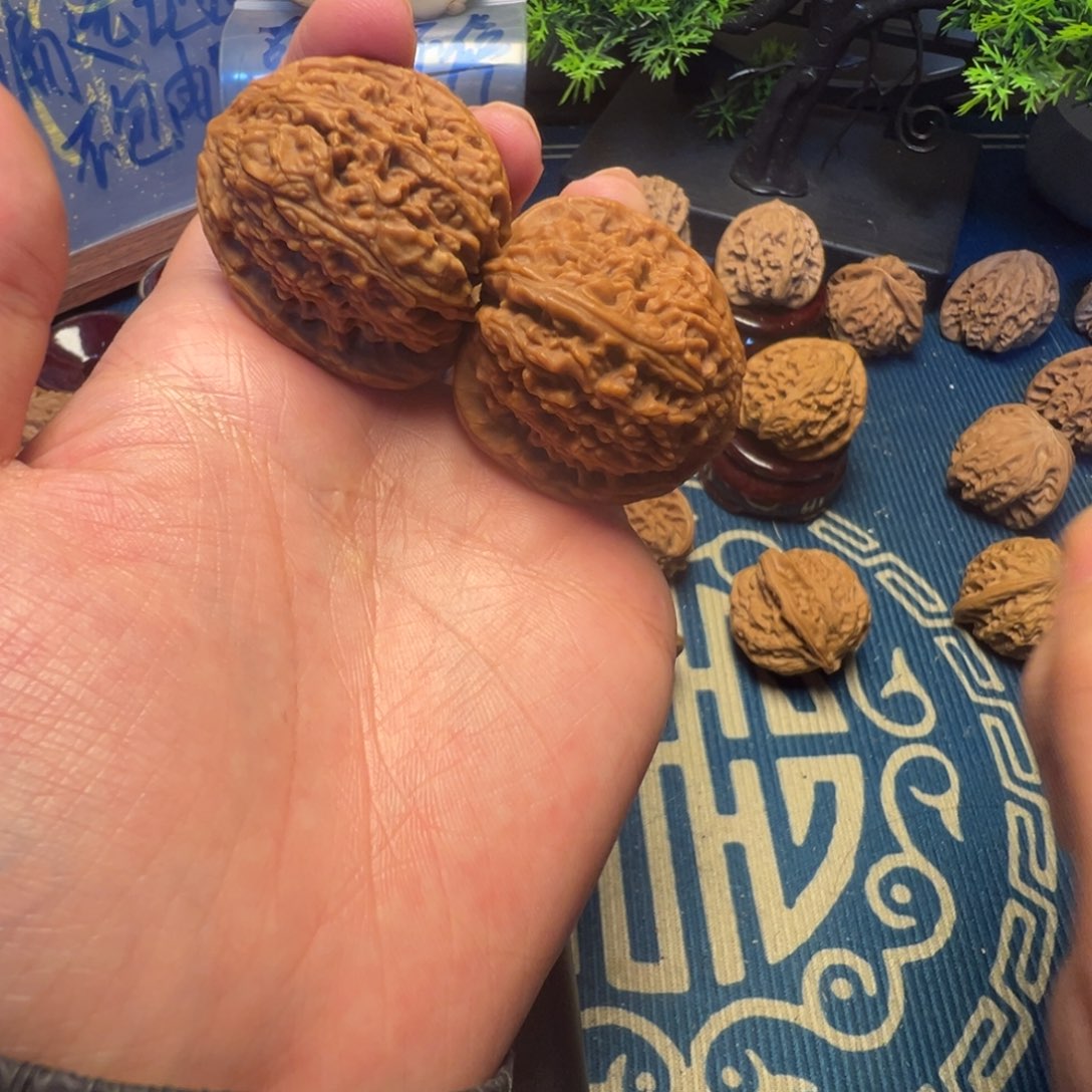 38尺全品无修天残疆