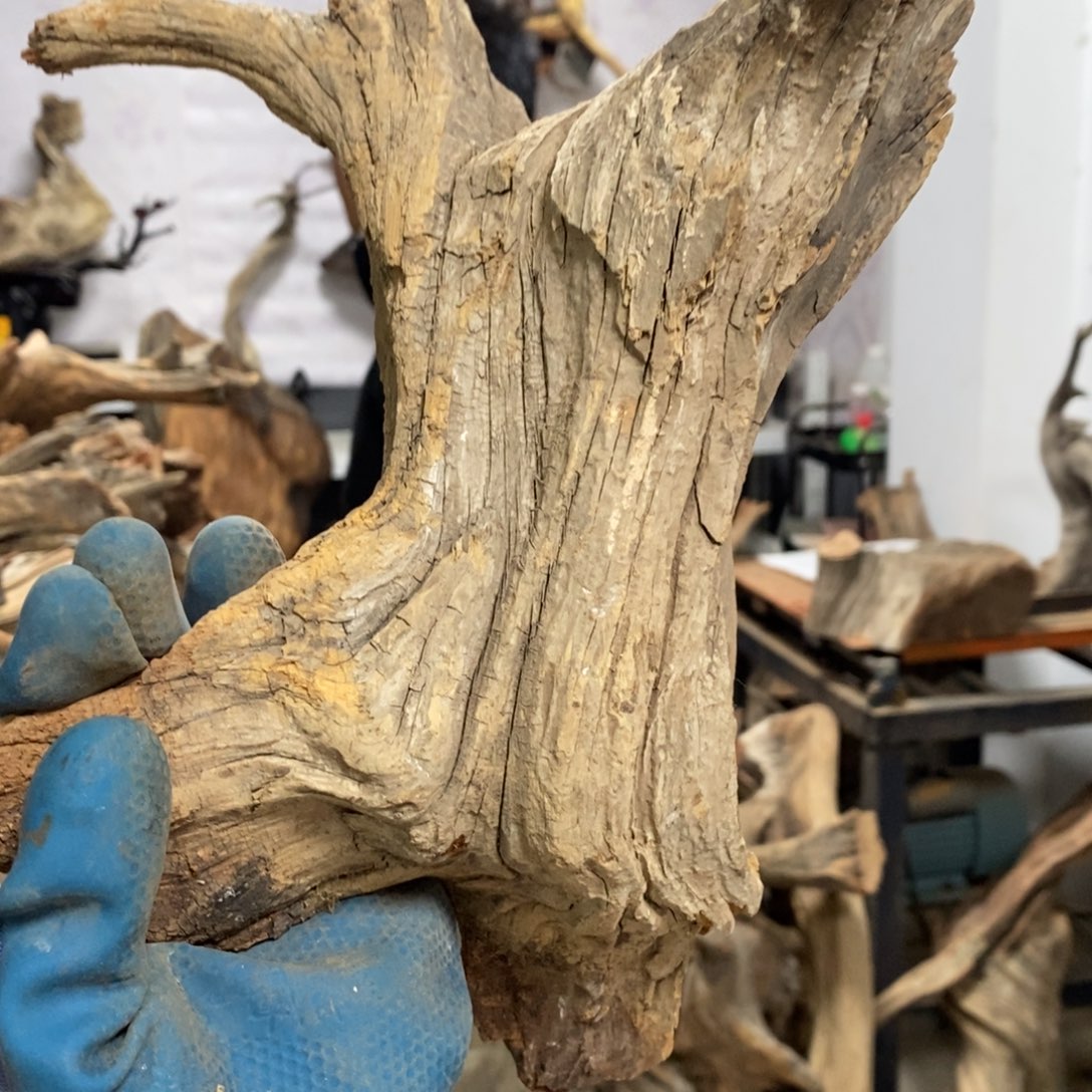 柏木（崖柏）哥***哈我们都是好孩子