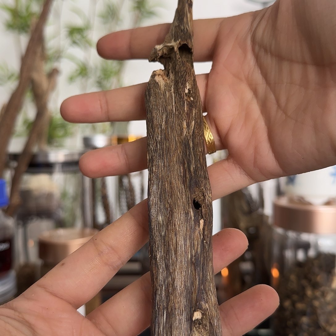 沉香沉香碎屑捡漏-透顶绿虫漏20克+