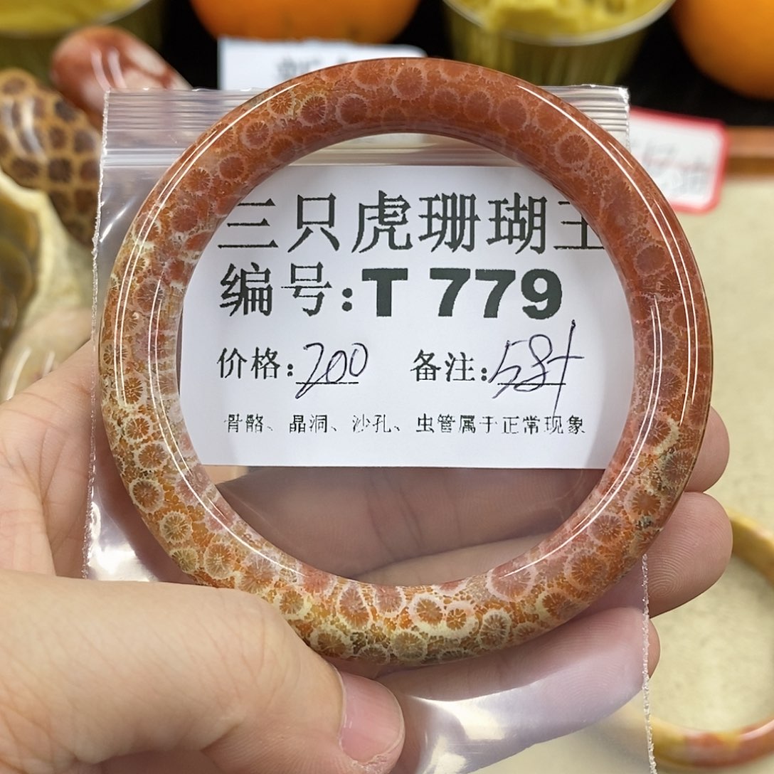硅化珊瑚（珊瑚玉）1未镶嵌柠**•