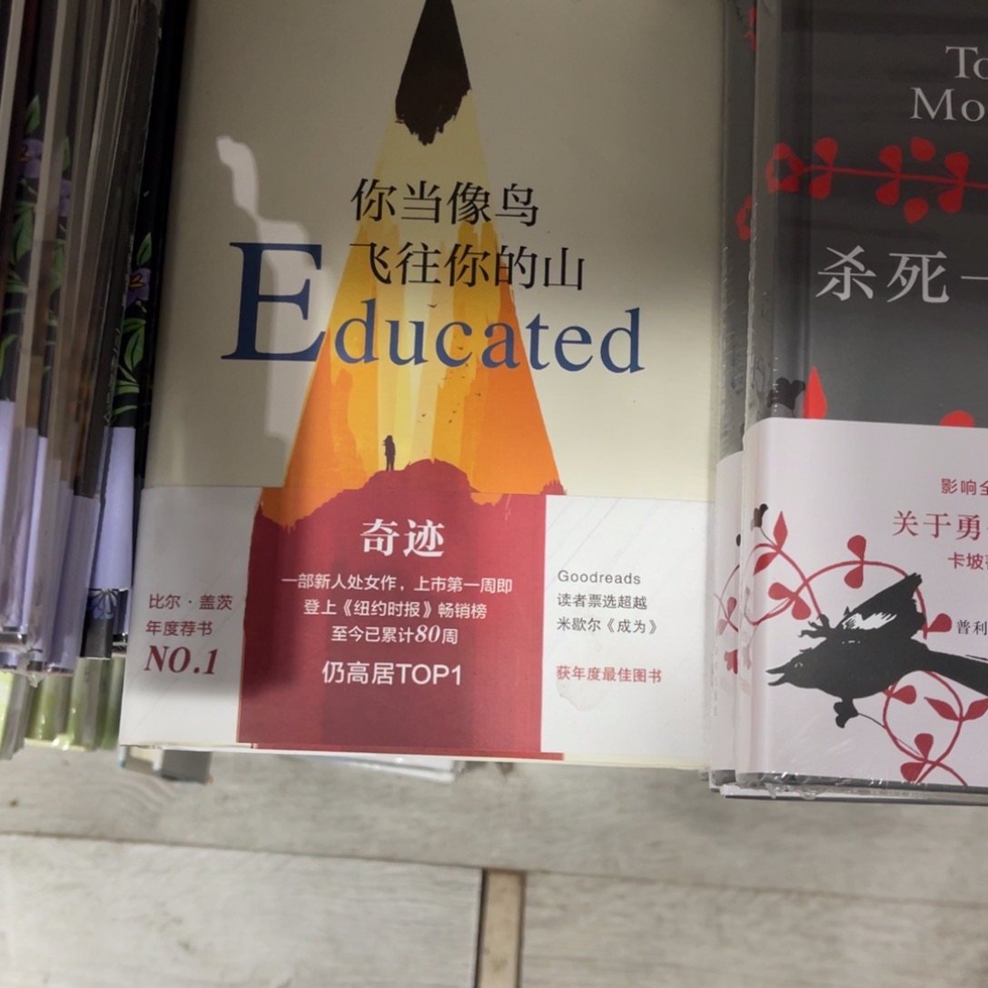 你当像鸟飞往你的山