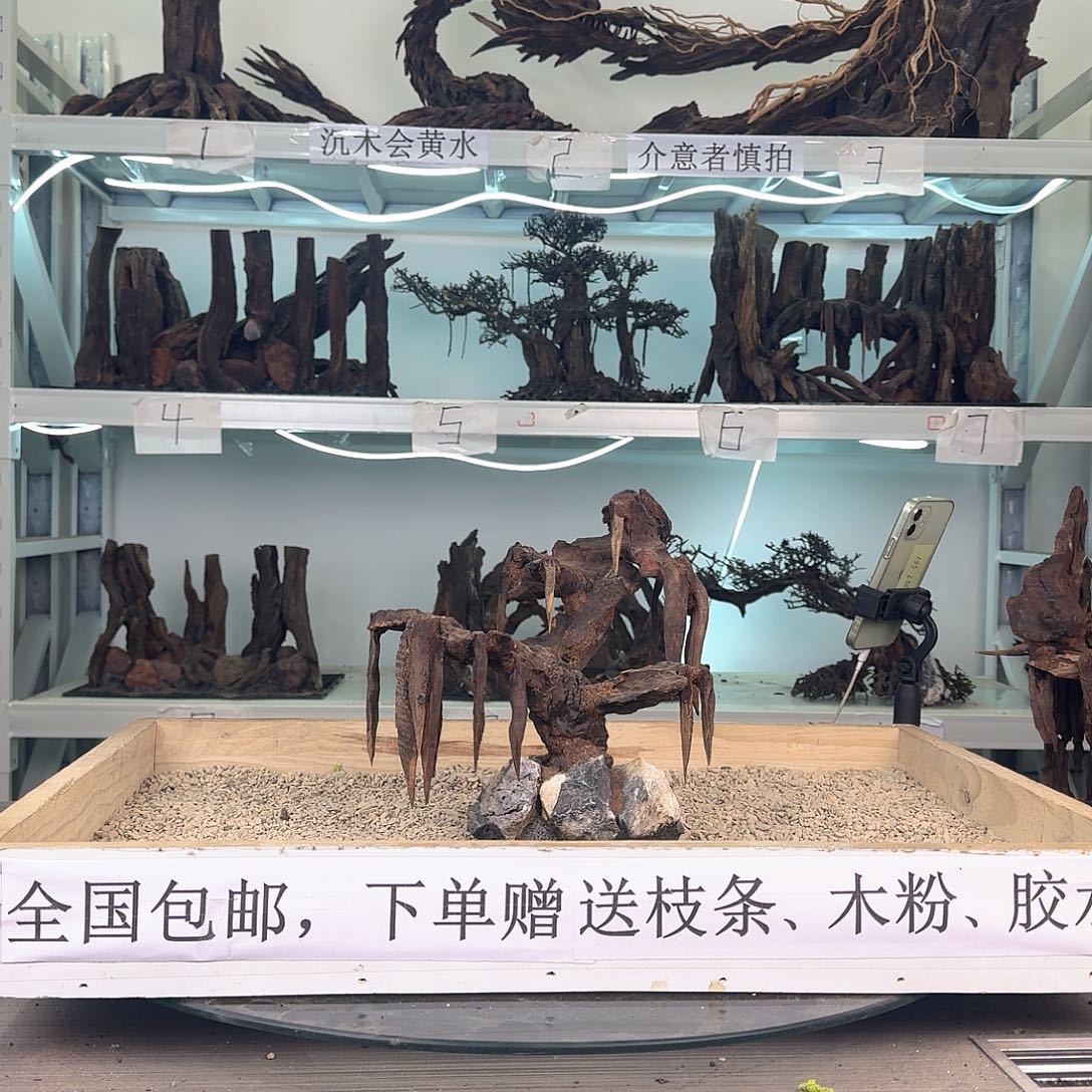 小***堂沉木造景沉木造景