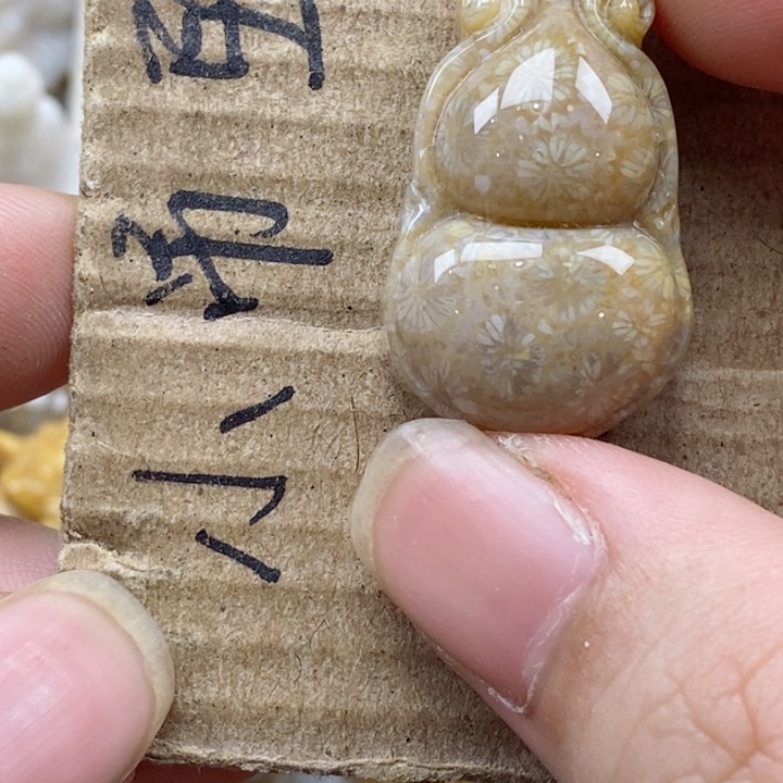 颈饰未镶嵌硅化珊瑚（珊瑚玉）苏*饭