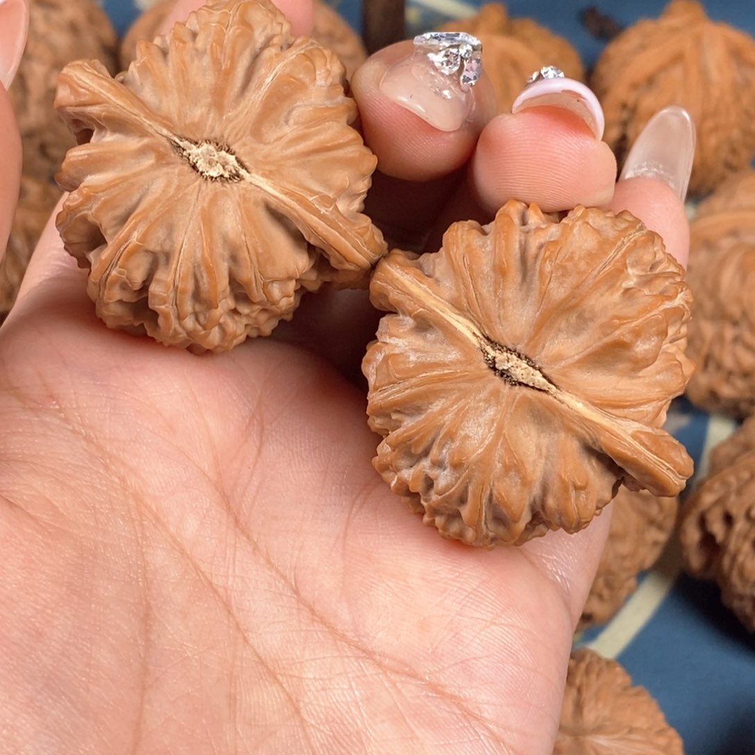 核桃文玩核桃白狮子