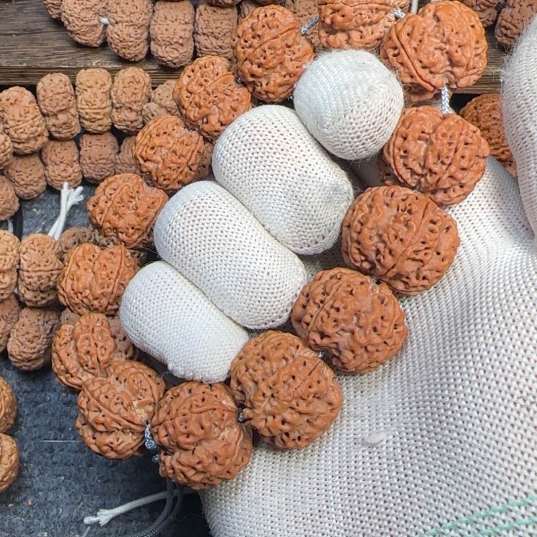 菩提金刚菩提24深沟梅花