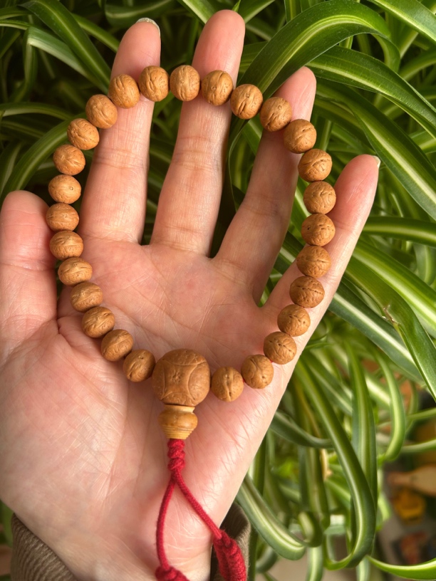 尼泊尔小10.5mm红皮矮桩实心24颗凤眼手持