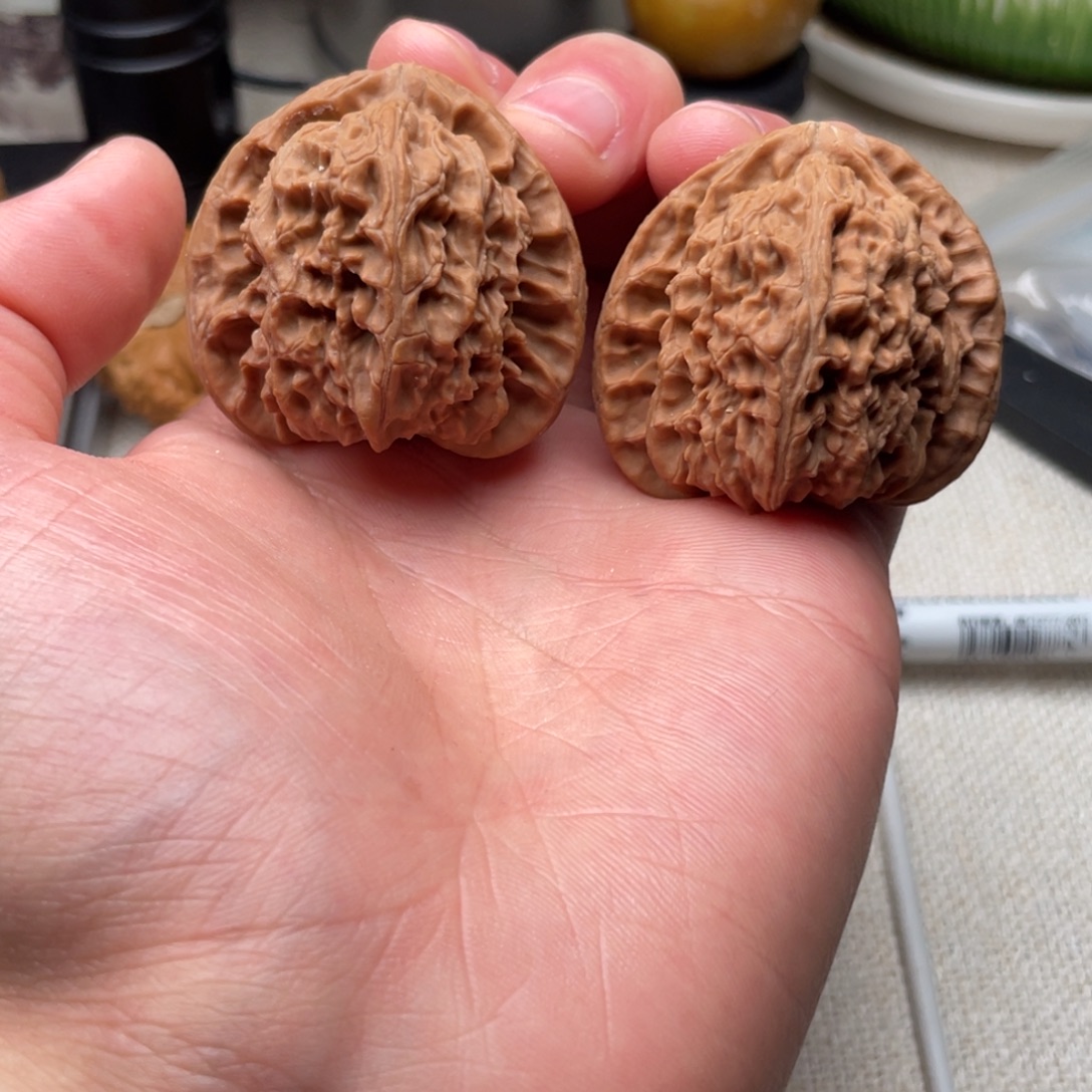 J***H把件文玩核桃角白