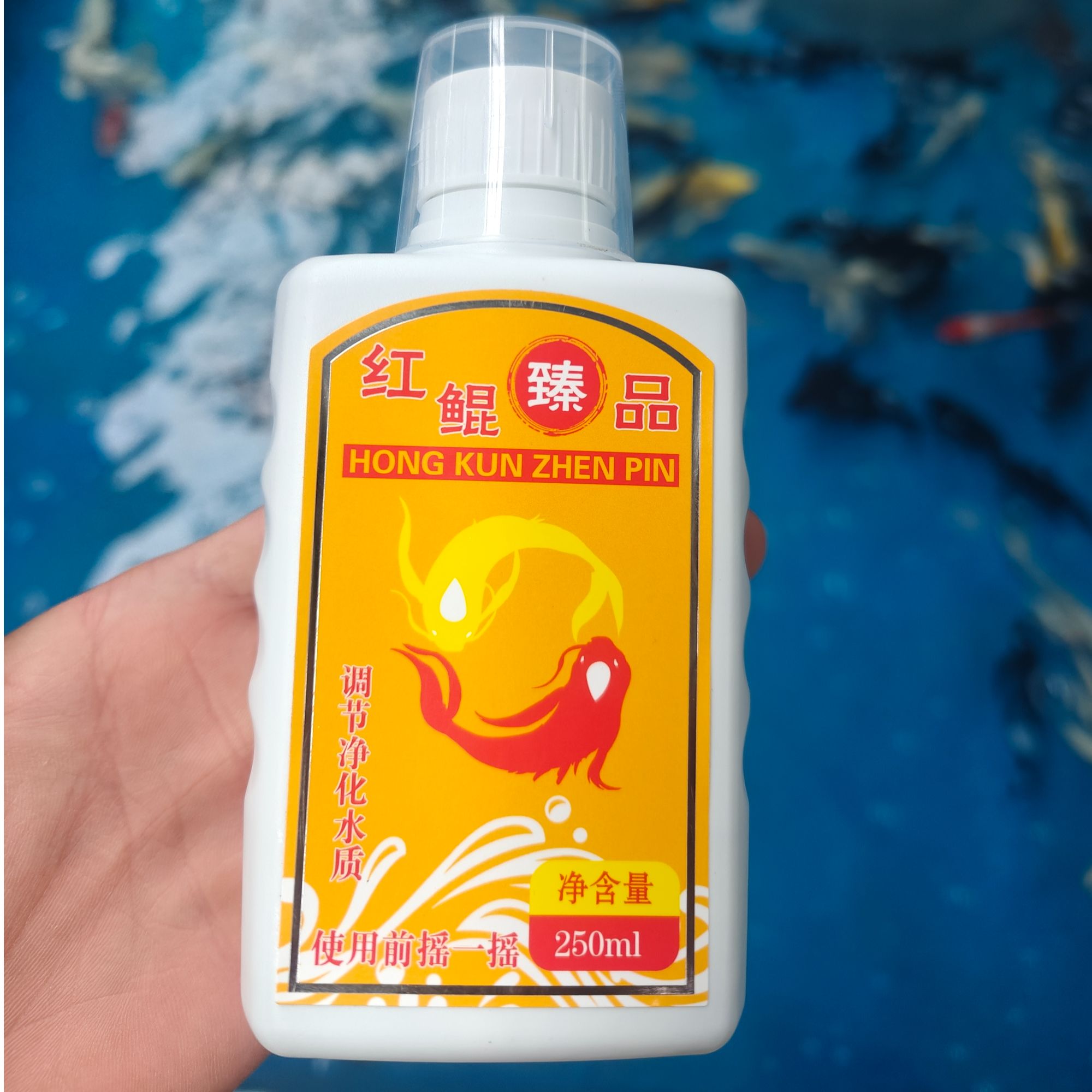 锦鲤金鱼趴缸趴底交叉感染烂身烂尾烂鳍烂鳃调理肝胆肠道调理状态