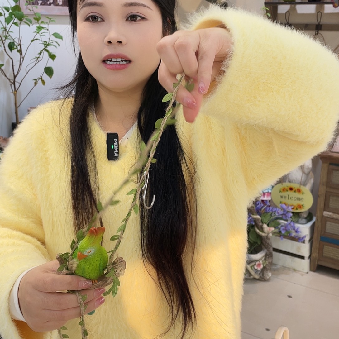 摆件花园摆件红红火火