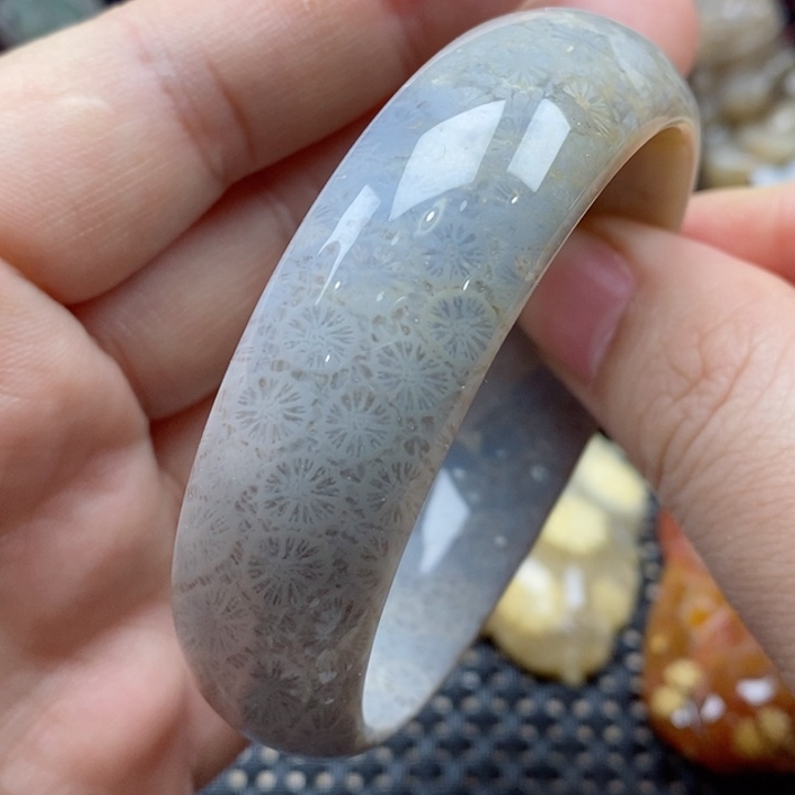 硅化珊瑚（珊瑚玉）颈饰未镶嵌56