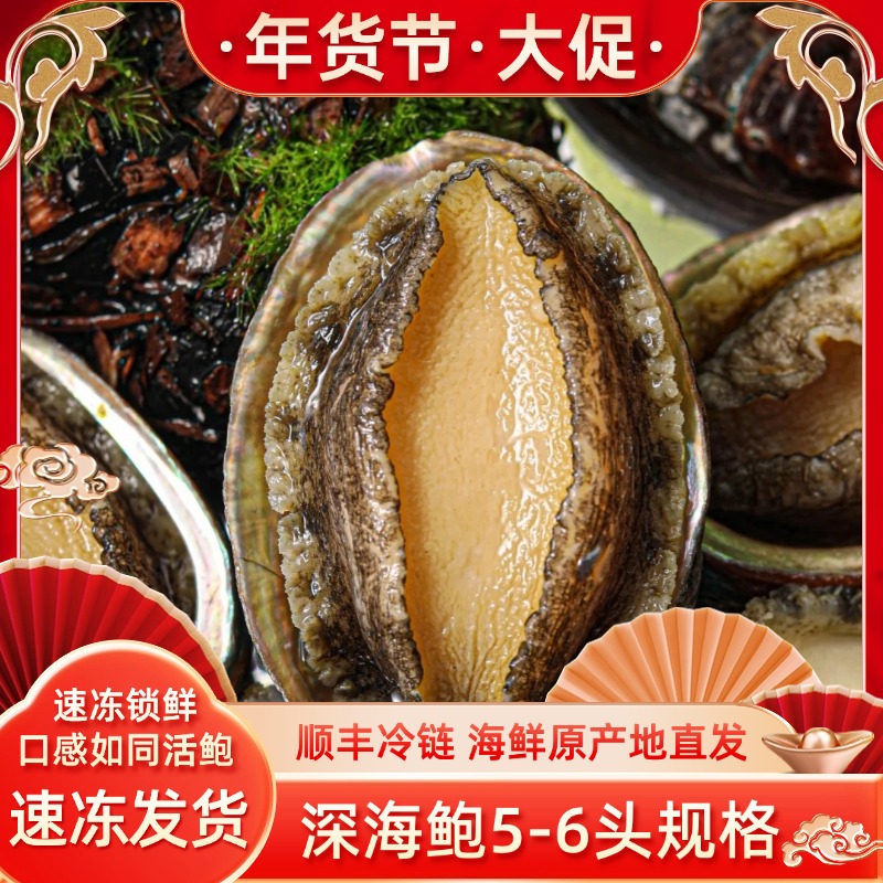 【新春送礼】5-6头鲍长度7-7.5cm左右/只 东山岛深海活鲍液氮冷冻发